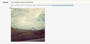 Instagram Embed